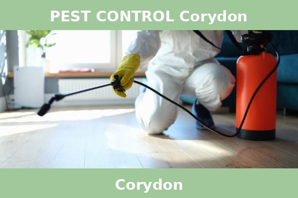 PEST CONTROL Corydon